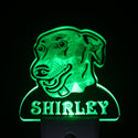 ADVPRO Greyhound Dog Personalized Night Light Name Day/Night Sensor LED Sign ws1071-tm - Green
