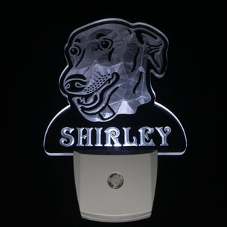 ADVPRO Greyhound Dog Personalized Night Light Name Day/Night Sensor LED Sign ws1071-tm - White