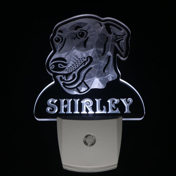 ADVPRO Greyhound Dog Personalized Night Light Name Day/Night Sensor LED Sign ws1071-tm - White