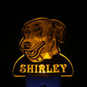 ADVPRO Greyhound Dog Personalized Night Light Name Day/Night Sensor LED Sign ws1071-tm - Yellow