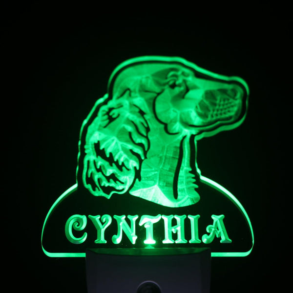 ADVPRO Irish Setter Dog Personalized Night Light Name Day/Night Sensor LED Sign ws1072-tm - Green