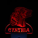 ADVPRO Irish Setter Dog Personalized Night Light Name Day/Night Sensor LED Sign ws1072-tm - Red