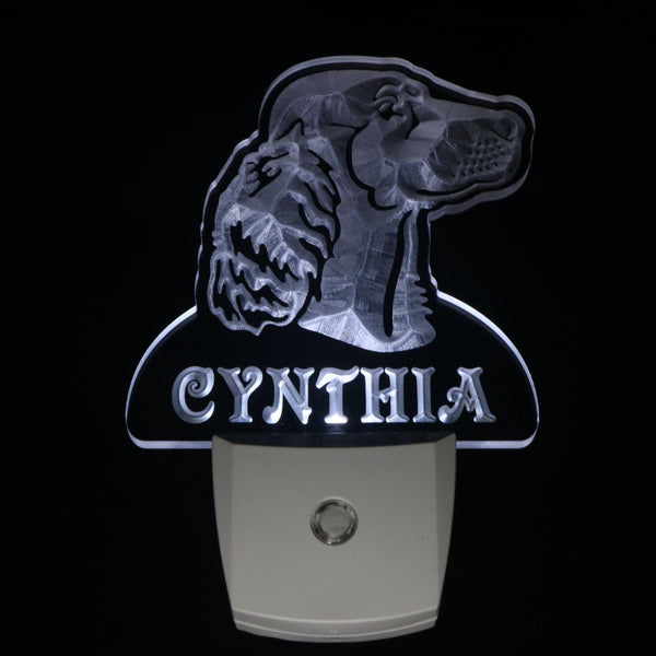 ADVPRO Irish Setter Dog Personalized Night Light Name Day/Night Sensor LED Sign ws1072-tm - White