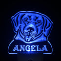 ADVPRO Labrador Retriever Personalized Night Light Name Day/Night Sensor LED Sign ws1073-tm - Blue