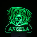 ADVPRO Labrador Retriever Personalized Night Light Name Day/Night Sensor LED Sign ws1073-tm - Green