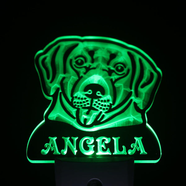 ADVPRO Labrador Retriever Personalized Night Light Name Day/Night Sensor LED Sign ws1073-tm - Green