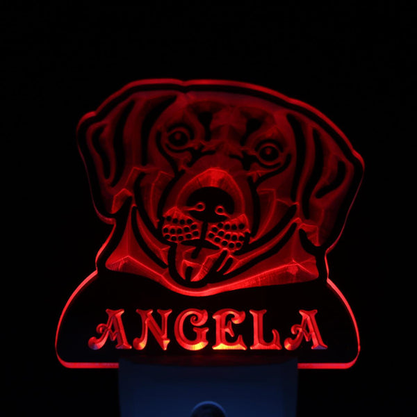 ADVPRO Labrador Retriever Personalized Night Light Name Day/Night Sensor LED Sign ws1073-tm - Red