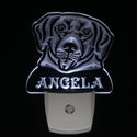 ADVPRO Labrador Retriever Personalized Night Light Name Day/Night Sensor LED Sign ws1073-tm - White