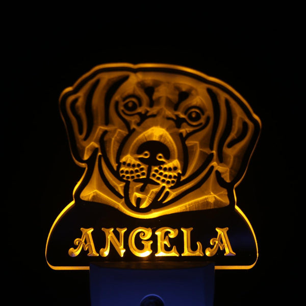 ADVPRO Labrador Retriever Personalized Night Light Name Day/Night Sensor LED Sign ws1073-tm - Yellow