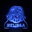 ADVPRO Lhasa Apso Dog Personalized Night Light Name Day/Night Sensor LED Sign ws1074-tm - Blue