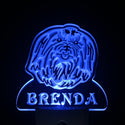 ADVPRO Maltese Dog Personalized Night Light Name Day/Night Sensor LED Sign ws1075-tm - Blue