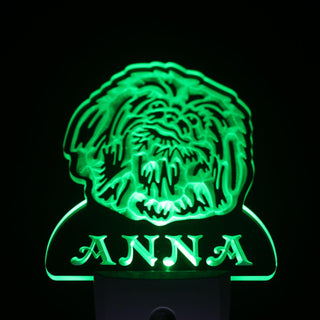 ADVPRO Pekingese Dog Personalized Night Light Name Day/Night Sensor LED Sign ws1077-tm - Green