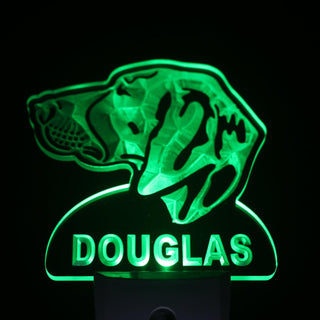 ADVPRO Pointer Dog Personalized Night Light Name Day/ Night Sensor LED Sign ws1079-tm - Green