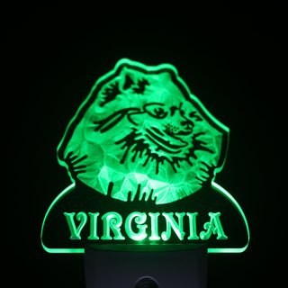 ADVPRO Pomeranian Dog Personalized Night Light Name Day/Night Sensor LED Sign ws1080-tm - Green