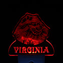 ADVPRO Pomeranian Dog Personalized Night Light Name Day/Night Sensor LED Sign ws1080-tm - Red