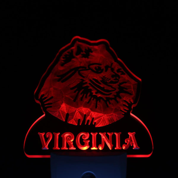 ADVPRO Pomeranian Dog Personalized Night Light Name Day/Night Sensor LED Sign ws1080-tm - Red