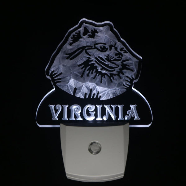 ADVPRO Pomeranian Dog Personalized Night Light Name Day/Night Sensor LED Sign ws1080-tm - White