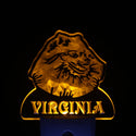 ADVPRO Pomeranian Dog Personalized Night Light Name Day/Night Sensor LED Sign ws1080-tm - Yellow