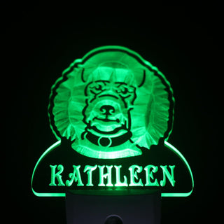 ADVPRO Poodle Personalized Night Light Name Day/Night Sensor LED Sign ws1081-tm - Green