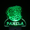 ADVPRO Pug Dog Personalized Night Light Name Day/Night Sensor LED Sign ws1082-tm - Green