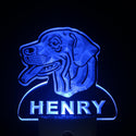 ADVPRO Rhodesian Ridgeback Personalized Night Light Day/Night Sensor LED Sign ws1083-tm - Blue