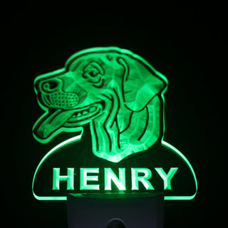 ADVPRO Rhodesian Ridgeback Personalized Night Light Day/Night Sensor LED Sign ws1083-tm - Green