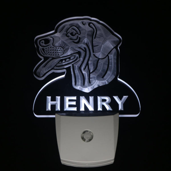 ADVPRO Rhodesian Ridgeback Personalized Night Light Day/Night Sensor LED Sign ws1083-tm - White