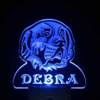 ADVPRO Saint Bernard Personalized Night Light Name Day/Night Sensor LED Sign ws1085-tm - Blue