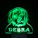 ADVPRO Saint Bernard Personalized Night Light Name Day/Night Sensor LED Sign ws1085-tm - Green