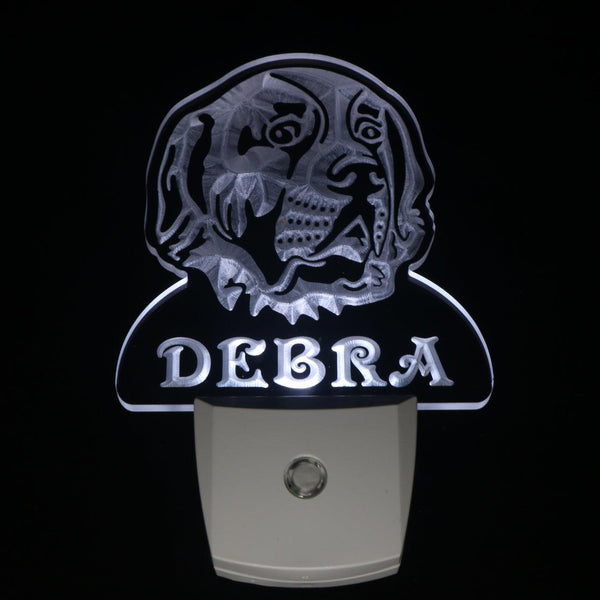 ADVPRO Saint Bernard Personalized Night Light Name Day/Night Sensor LED Sign ws1085-tm - White