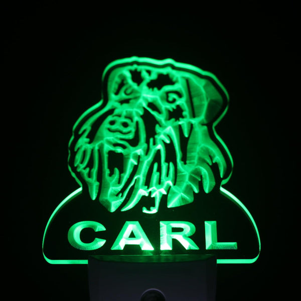 ADVPRO Schnauzer Dog Personalized Night Light Name Day/Night Sensor LED Sign ws1087-tm - Green