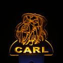 ADVPRO Schnauzer Dog Personalized Night Light Name Day/Night Sensor LED Sign ws1087-tm - Yellow