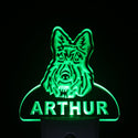 ADVPRO Scottish Terrier Personalized Night Light Name Day/Night Sensor LED Sign ws1088-tm - Green