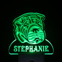 ADVPRO Shar Pei Dog Personalized Night Light Name Day/Night Sensor LED Sign ws1089-tm - Green