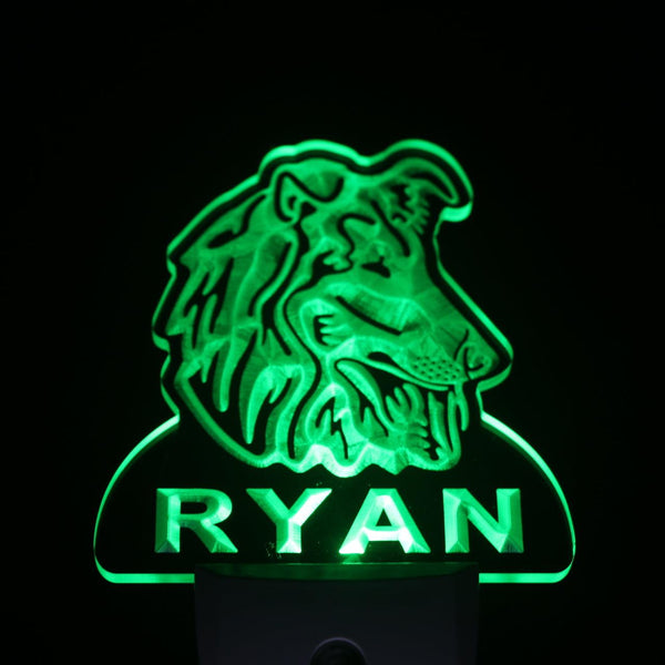 ADVPRO Sheltie Dog Personalized Night Light Name Day/Night Sensor LED Sign ws1090-tm - Green