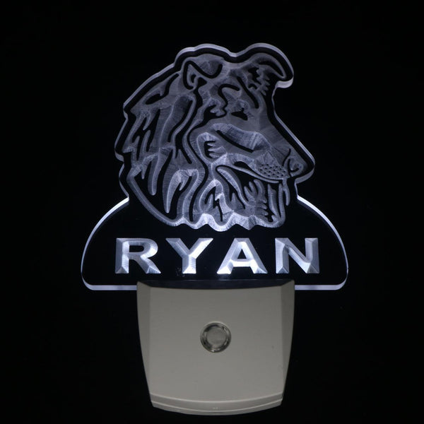 ADVPRO Sheltie Dog Personalized Night Light Name Day/Night Sensor LED Sign ws1090-tm - White