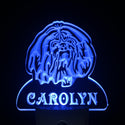 ADVPRO Shih Tzu Dog Personalized Night Light Name Day/Night Sensor LED Sign ws1091-tm - Blue