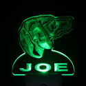 ADVPRO Weimaraner Dog Personalized Night Light Name Day/Night Sensor LED Sign ws1093-tm - Green