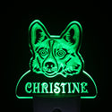 ADVPRO Welsh Corgi Personalized Night Light Name Day/Night Sensor LED Sign ws1094-tm - Green