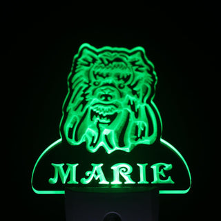 ADVPRO Yorkshire Terrier Night Light Name Day/Night Sensor LED Sign ws1096-tm - Green