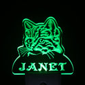 ADVPRO Cat Kitty Pet Personalized Night Light Name Day/Night Sensor LED Sign ws1097-tm - Green