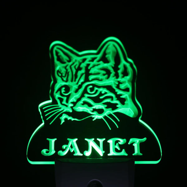 ADVPRO Cat Kitty Pet Personalized Night Light Name Day/Night Sensor LED Sign ws1097-tm - Green