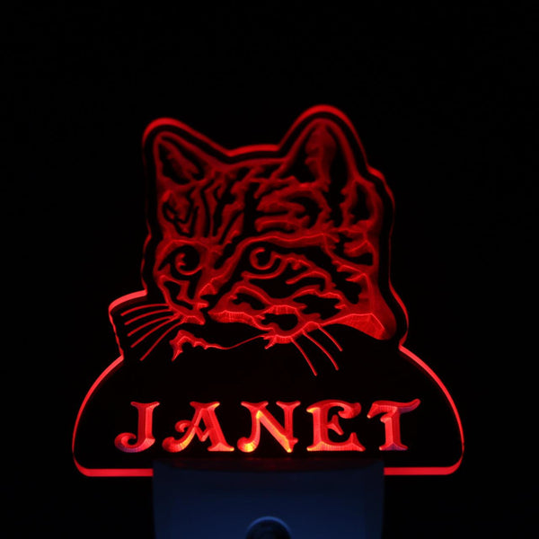 ADVPRO Cat Kitty Pet Personalized Night Light Name Day/Night Sensor LED Sign ws1097-tm - Red