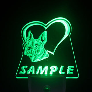 ADVPRO Name Personalized Custom Boston Terrier Dog House Home Day/ Night Sensor LED Sign wsvc-tm - Green