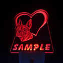 ADVPRO Name Personalized Custom Boston Terrier Dog House Home Day/ Night Sensor LED Sign wsvc-tm - Red